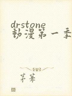 drstone动漫第一季免费观看