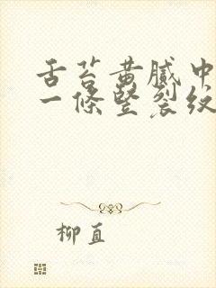 舌苔黄腻中间有一条竖裂纹