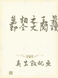 万相之王最新章节全文阅读