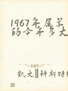 1967年属羊的今年多大岁数