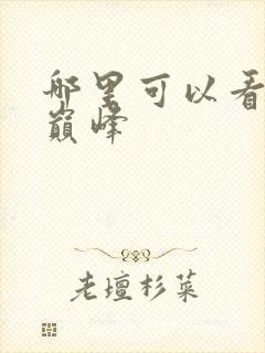 哪里可以看武炼巅峰