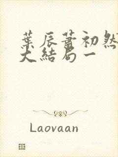 叶辰萧初然完结大结局一