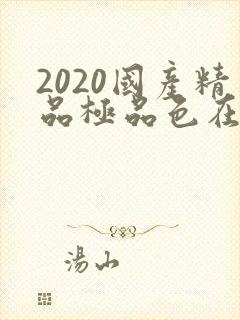 2020国产精品极品色在线观看