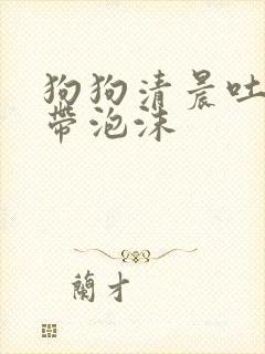 狗狗清晨吐黄水带泡沫