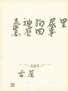 泰迪狗尿里带血怎么回事