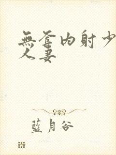 无套内射少妇 人妻