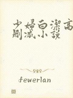 少妇白洁高义无删减小说