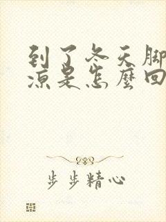 到了冬天脚就冰凉是怎么回事封面