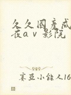 久久国产成人午夜aⅴ影院封面