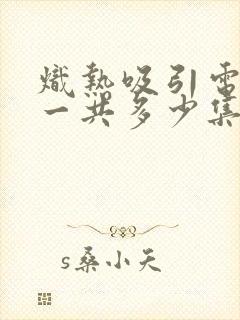 炽热吸引电视剧一共多少集啊