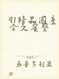 91精品国产综合久蜜臀封面