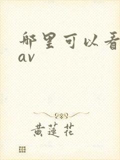 哪里可以看麻豆av