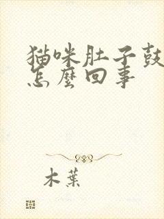 猫咪肚子鼓鼓的怎么回事