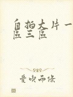 自拍大片一区二区三区