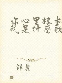 你心里根本没有我是什么歌