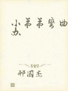 小弟弟弯曲怎么办封面