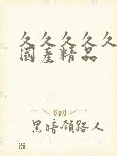 久久久久久综合国产精品封面