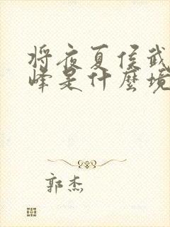 将夜夏侯武道巅峰是什么境界