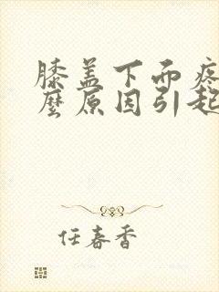 膝盖下面疼是什么原因引起的