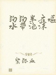 狗狗半夜呕吐黄水带泡沫