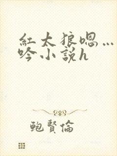 红太狼嗯…啊呻吟小说h