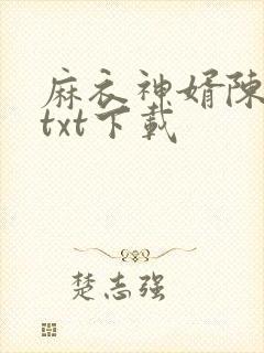 麻衣神婿陈黄皮txt下载封面