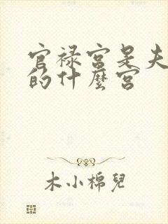 官禄宫是夫妻宫的什么宫