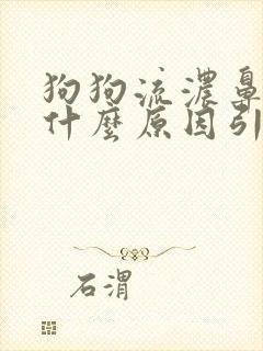 狗狗流浓鼻涕是什么原因引起的