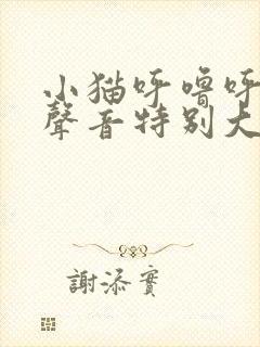 小猫呼噜呼噜的声音特别大