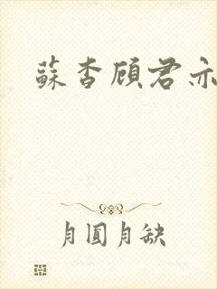 苏杳顾君亦小说封面