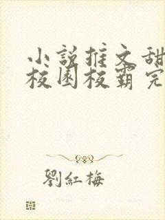 小说推文甜宠文校园校霸完结文