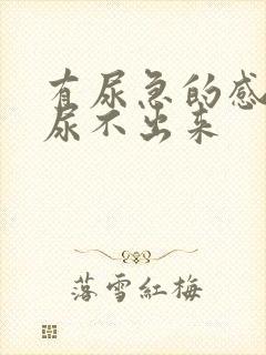 有尿急的感觉却尿不出来