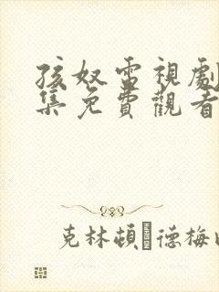 孩奴电视剧40集免费观看