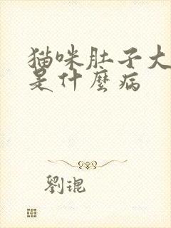 猫咪肚子大尿黄是什么病