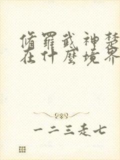 修罗武神楚枫现在什么境界