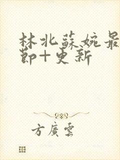 林北苏婉最新章节+更新