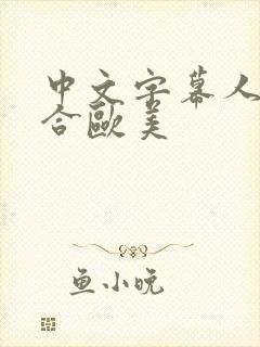 中文字幕人妻综合欧美