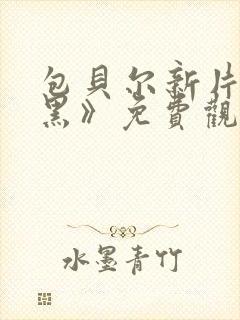 包贝尔新片《打黑》免费观看封面