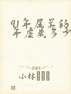 91年属羊的今年虚岁多少岁