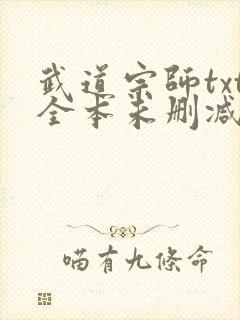 武道宗师txt全本未删减下载
