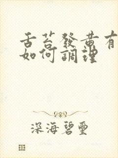 舌苔发黄有齿痕如何调理