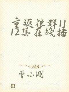 重返狼群11和12集在线播放封面