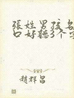 张姓男孩名字顺口好听3个字