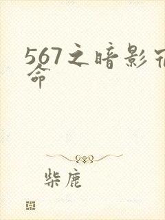 567之暗影宿命