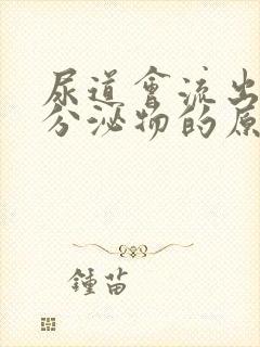 尿道会流出白色分泌物的原因