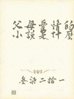 父母爱情的原著小说是什么