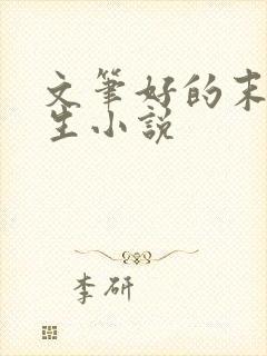 文笔好的末世重生小说