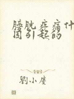 膀胱疼痛什么原因引起的