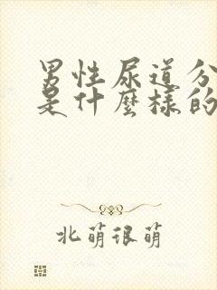 男性尿道分泌物是什么样的封面