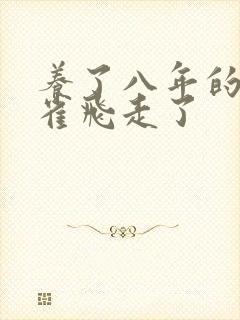 养了八年的金丝雀飞走了